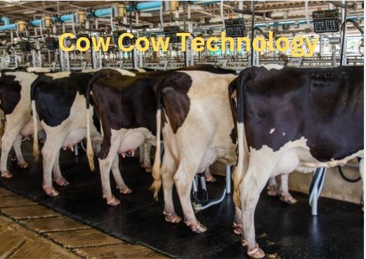 Cow Cow Technology